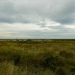 JOHN RIDDY, New York (Black Star 1–5), 2016