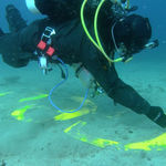 RAQS MEDIA COLLECTIVE, Provisions for Everybody, 2018/2022