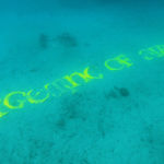 RAQS MEDIA COLLECTIVE, Provisions for Everybody, 2018/2022