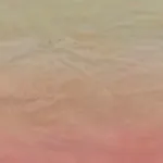 ANNA BARRIBALL, Window with light and dark, 2022