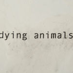Juliao Sarmento, Dying animals, 2004