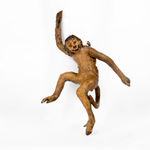 La visita de la reina de Saba, S.XX