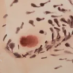 Glenn Ligon, Issac Hayes (version 1) #1, 2000