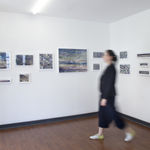 Sonia Andrade, Sem título