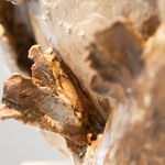 Ana Jacinto Nunes, Os Arrozais, 2021