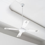 Jorge Macchi 14 Edouardfraipont10022022 Fm