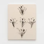 Bruno Baptistelli, sem título (marrom) [untitled (brown)], 2011–2023