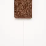 Tonico Lemos Auad, Cabeça de Búfalo / Marajoara, 2022