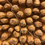 Tonico Lemos Auad, Cabeça de Búfalo / Marajoara, 2022