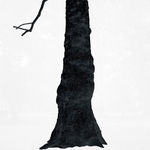 Santeri Tuori, Black Tree 1, 2025