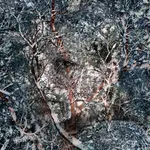 Santeri Tuori, Immediate Nature 1 ⎜Ilona, 2023