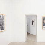 Santeri Tuori, Black Tree 1, 2025