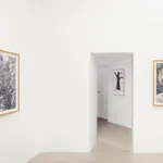 Santeri Tuori, Immediate Nature 7⎜ Bella, 2025