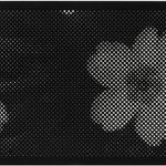 Anne-Karin Furunes, Fern, 2022