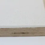 Andrea Nones Kobiakov, a x tiempos, 2023