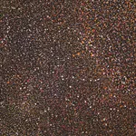 Angelina Pwerle, Bush Plum, 2006