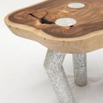 Nada Debs, Coming To Life Table