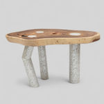 Nada Debs, Coming To Life Table