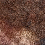 Ayala Serfaty, Shastool Will