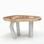 Nada Debs, Coming To Life Table