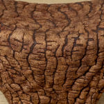 Ayala Serfaty, Shastool Will