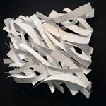 Matt Devine, Wilson's Warbler, 2024