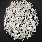 Matt Devine, Wilson's Warbler, 2024