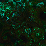 Judy Garfin, 'Let Brightness be a gift for them' , 2022-2025