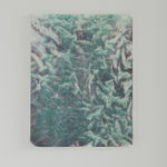 VICKY COLOMBET, Evening Light #1448 (Monet Series), 2020