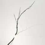 CRISTINA ALMODOVAR, INTERSECTION, 2025