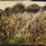 Pascal BAZILE, Fleur de fer II, Dame blanche , 1994