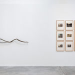 Pascal BAZILE, Fleur de fer II, Dame blanche , 1994