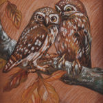 Gaston Suisse, Touraco