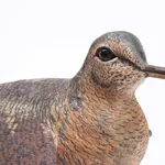 Paul Marcueyz, Bécasses en parade