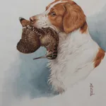 Boris Riabouchinsky, Spaniel à la bécasse