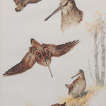 Boris Riabouchinsky, Setters à l'arrêt sur des perdrix grises