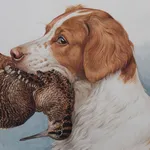 Boris Riabouchinsky, Spaniel à la bécasse