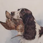 Boris Riabouchinsky, Spaniel à la bécasse