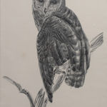 Raymond Bigot, Chouette