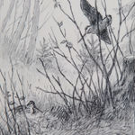 Georges Frédéric Rötig, Etude de bécasses (d'après Arnold)