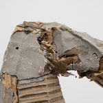 MORGANE TSCHIEMBER, Shibari