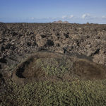 MARION TAMPON-LAJARRIETTE, Mundus (I) , 2017