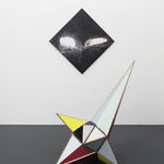 Séverine Hubard, Bicho raro, 2015