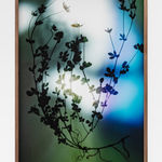 Bernard Voïta, Untitled (architectures irréelles)