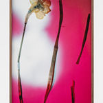 Bernard Voïta, Untitled (architectures irréelles)