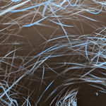 Hom Nguyen, Human Blue, 2025