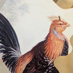 Dan Alva, This Thing of Ours, 2021