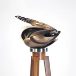 Éric Lapointe, Enter