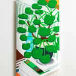 Anja Ammann, The Bristol, 2020