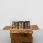 James Gregory Atkinson, Teenager Leila Negra (Mädchenfalle), 2025